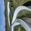 20ft-x-30ft-steel-building-image-13