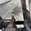 2000-freightliner-fld120-image-23