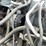 #521-•-1983-chevrolet-pickup-(has-nm-title)-(las-cruces,-nm)-image-57