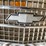 #5363-•-chevrolet-chevelle-laguna-grille-(las-cruces,-nm)-image-6