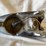 #5380-•-chevrolet-fuel-cap-door-and-tail-light-(las-cruces,-nm)-image-12