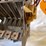 #5381-•-chevrolet-heater-control-with-ac-(las-cruces,-nm)-image-9