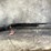 #10366-•-impala-plus-nero-s-black-12-ga.-semi-auto-shotgun,-sn:-60-h23yt-002553-image-1