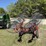 kuhn-sr110gii-image-7
