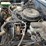 1981-chevrolet-k10-image-43