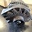 #5415-•-lot-of-newer-car-parts,-some-new-(las-cruces,-nm)-image-7