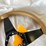 #5394-•-steering-wheel-(las-cruces,-nm)-image-15