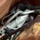 #5359-•-corvette-tpi-intake-system-(las-cruces,-nm)-image-60