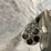 #10321-•-taurus-m4510-judge-45-colt-revolver,-sn:-c0762925-image-12