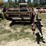 international-990-image-1