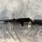 #10342-•-ruger-pc-carbine-9mm-luger-semi-auto-rifle,-sn:-914-32521-image-2