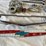 #5388-•-chevrolet-car-parts-(las-cruces,-nm)-image-5