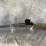 #10372-•-stevens-301-turkey-xp-mobl-410-ga.-single-shot-shotgun,-sn:-256539b-image-2