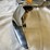 #5391-•-bumper-guards-and-grille-teeth-(las-cruces,-nm)-image-6