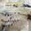 #5351-•-buick-parts-(las-cruces,-nm)-image-33