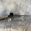 #10372-•-stevens-301-turkey-xp-mobl-410-ga.-single-shot-shotgun,-sn:-256539b-image-1
