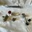 #5388-•-chevrolet-car-parts-(las-cruces,-nm)-image-30