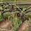 john-deere-2800-image-21