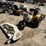 international-cub-image-4