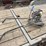screed-heads-image-2