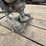 screed-heads-image-9