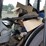 new-holland-t3040v-tractor-image-9