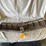 #5364-•-chevrolet-grille-(las-cruces,-nm)-image-6