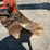 kubota-u25-image-10