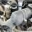 #521-•-1983-chevrolet-pickup-(has-nm-title)-(las-cruces,-nm)-image-54