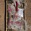 unused-landhonor-9200-lbs-ratchet-binders-&-g70-chains-image-1