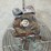 multiquip-power-trowel-image-8