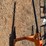 unused-wolverine-bale-spear-image-3
