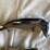 #5391-•-bumper-guards-and-grille-teeth-(las-cruces,-nm)-image-4