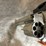 #10280-•-taurus-m66-357-mag-revolver,-sn:-ahd908310-image-16