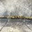 #10364-•-winchester-sxp-12-ga.-pump-action-shotgun,-sn:-tr6022-036177sp-image-2