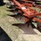 allis-chalmers-3pt-4-bottom-plow-image-5