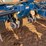 kinze-3200-image-7