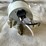 #5371-•-boost-gauge-with-pod-mount-(las-cruces,-nm)-image-6