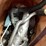 #5359-•-corvette-tpi-intake-system-(las-cruces,-nm)-image-59