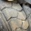 toyota-6fgu25-image-25