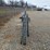 #23125-•-corral-panels-w/-gate-image-4
