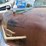 #109-•-1956-cadillac-de-ville-sedan-(title-in-delay)-(nitke-yard-mosinee,-wi)-image-13
