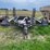 wilmar-765-sprayer-w/sprayer-trailer-image-75