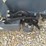 #24732-•-handy-skid-steer-stump-grinder-image-7