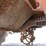 timberjack-380a-image-35