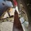 #24356-•-2006-chevrolet-silverado-pickup-truck-image-55