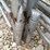 #23125-•-corral-panels-w/-gate-image-9