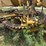 #1169w-•-champion-710agrader-|-for-parts/repairs-image-10