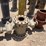 (6x)-7-1/16-10k-fluid-crosses-w/(4)-2-9/16-5k-gates-valves-image-3