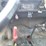 1982-international-1754-single-axle-grain-truck-image-56